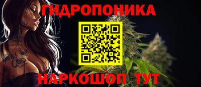 СК Новозыбков