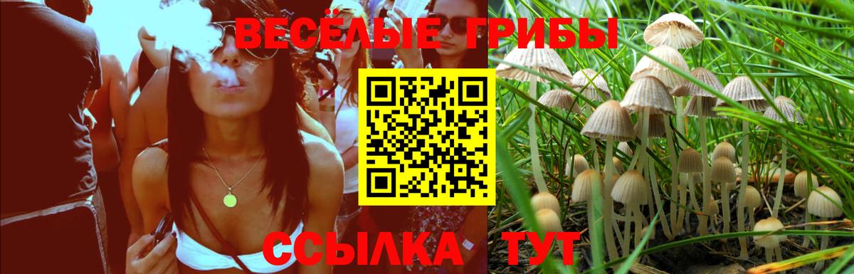 Псилоцибиновые грибы Magic Shrooms  Вход с VPN  закладки  Чапаевск 