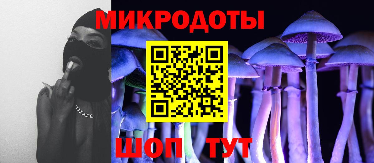Псилоцибиновые грибы ЛСД Чапаевск